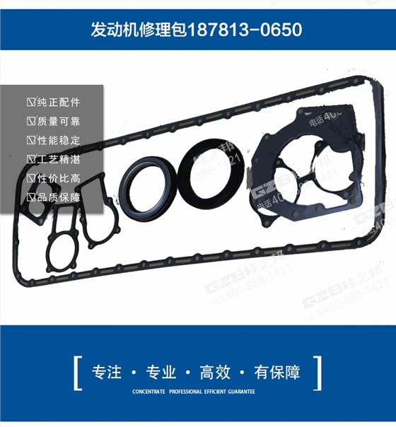 挖掘機(jī)發(fā)動機(jī)修理包187813-0650