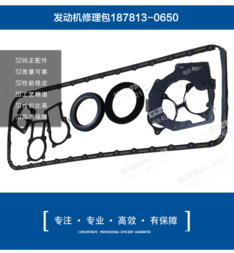 挖掘機(jī)發(fā)動機(jī)修理包187813-0650