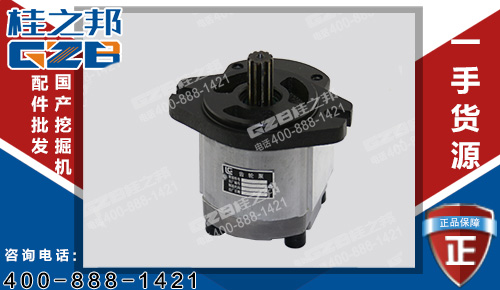 柳工220挖掘機發(fā)動機先導齒輪泵11C0122 原裝挖掘機配件批發(fā)